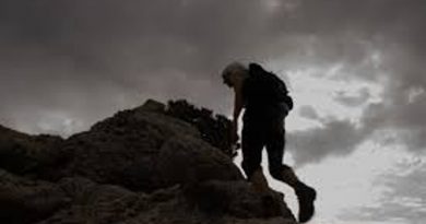 Seis pasos para alcanzar la cima