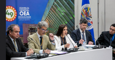 Jóvenes Provida entregarán Declaración a 49 Asamblea de la OEA