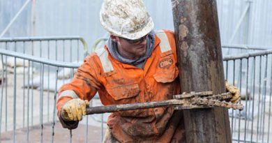 Los recursos no renovables nunca se agotan realmente