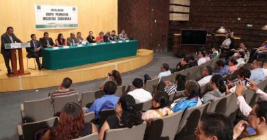 Plantean reconocer la figura de "comerciante en vía pública"