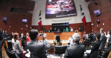 Depende de AMLO y Congreso que funcione el SNA: organizaciones