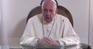 Papa pide rezar para que familias sean laboratorio de humanización