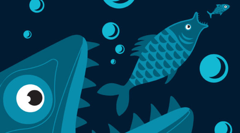 Cómo saber si el Estado es demasiado grande