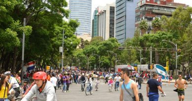 ¿Cómo fomentar la unidad de México?