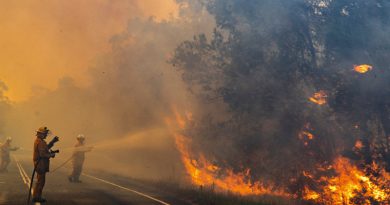 Efectos nocivos de incendios en Australia llegan hasta Sudamérica