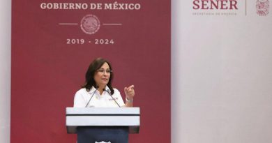 El Acuerdo de la SENER genera un ambiente negativo para la inversión privada nacional y extranjera, advierte el IMEF