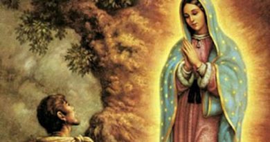 El 12 de diciembre de cada año es la Fiesta de la Virgen de Guadalupe en México.