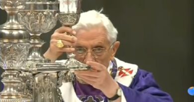 La acusación contra Benedicto XVI de supuestamente encubrir la pedofilia clerical, más que dañar su imagen, busca desacreditar su gran obra, por su ortodoxia.