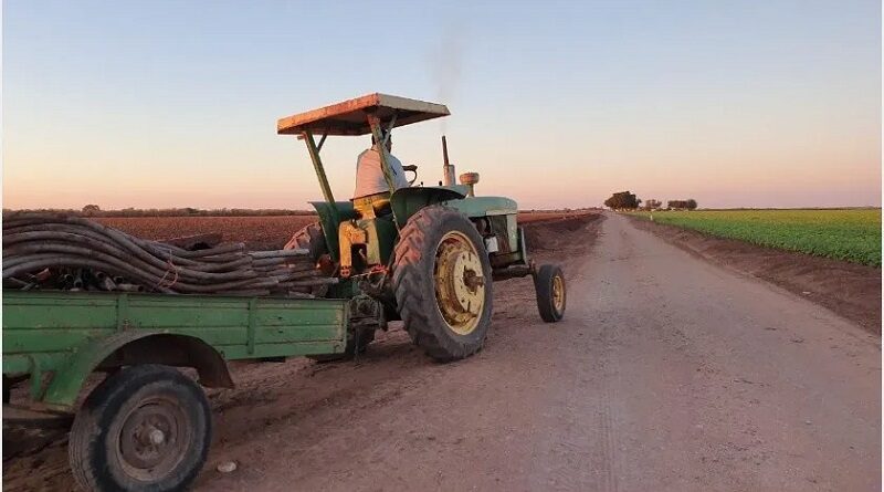 Los abuelos son un cúmulo de experiencias que enriquecen la vida de los hijos y los nietos.