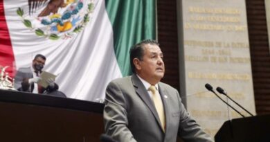 El diputado José Antonio Gutiérrez Jardón (PRI) dice que la Secretaría de Economía debe, además, impulsar programas emergentes para apoyar este año a las MiPyMEs.