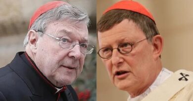 Hay una "cacería" contra jerarcas católicos que se distinguen por su ortodoxia y honestidad, como los casos contra los cardenales Pell y Woelki.