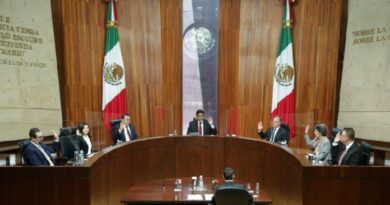 El Tribunal Electoral de México declaró concluido el proceso, porque carece de efectos jurídicos, al no haber participado al menos el 40 por ciento de la ciudadanía inscrita en el listado nominal de electores.