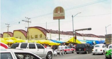 Alberto Vargas Lucio, Presidente del Movimiento Nacional del Contribuyente Social 17 de Marzo (MONACOSO AC), advirtió que en la Ciudad de México hay 48 mercados públicos que se encuentran en alta situación de riesgo, entre ellos el Mercado de La Lagunilla.